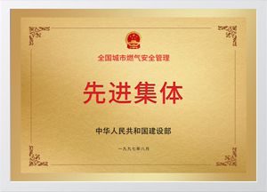 燃?xì)夤芾?></div>
                    <div   id=